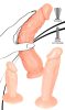 You2Toys - Anal training - élethű dildó szett - 3db