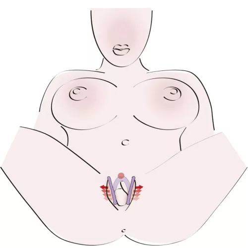 You2Toys - Intimate Spreader hüvely széthúzó