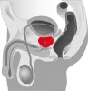 You2Toys - Prostate massager - forgó prosztata vibrátor (fekete)