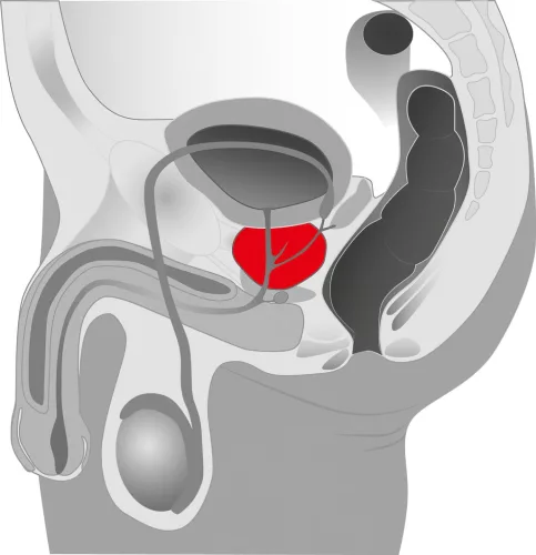 You2Toys - Prostate massager - forgó prosztata vibrátor (fekete)