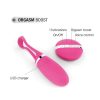 / Dorcel Secret Delight - rádiós vibrotojás (pink)
