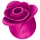 Satisfyer Pro 2 Modern Blossom - léghullámos csiklóizgató (pink)