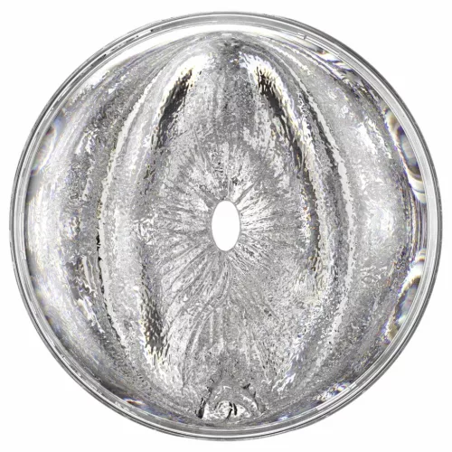 Fleshlight Quickshot Stoya - utazó maszturbátor (átlátszó)