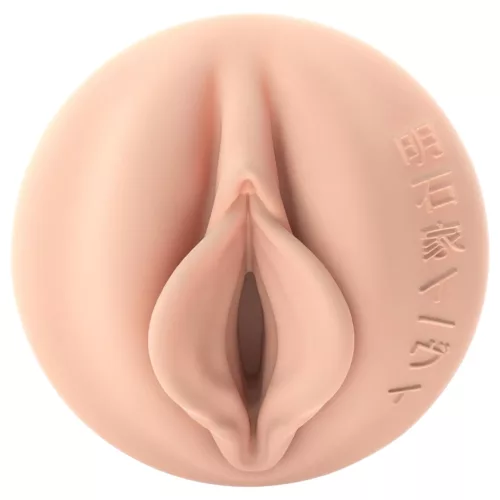 Fleshlight - Fantasy Evie Akashiya Sho Akima vagina (natúr)