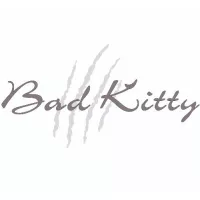 Bad Kitty